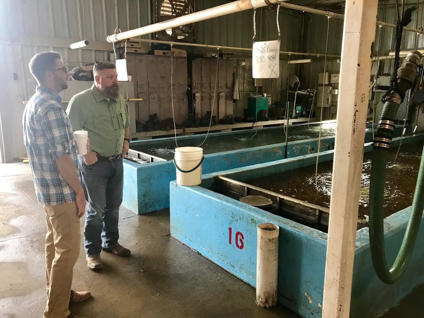 Anderson Farms in Lonoke, Arkansas — Lonoke, Arkansas