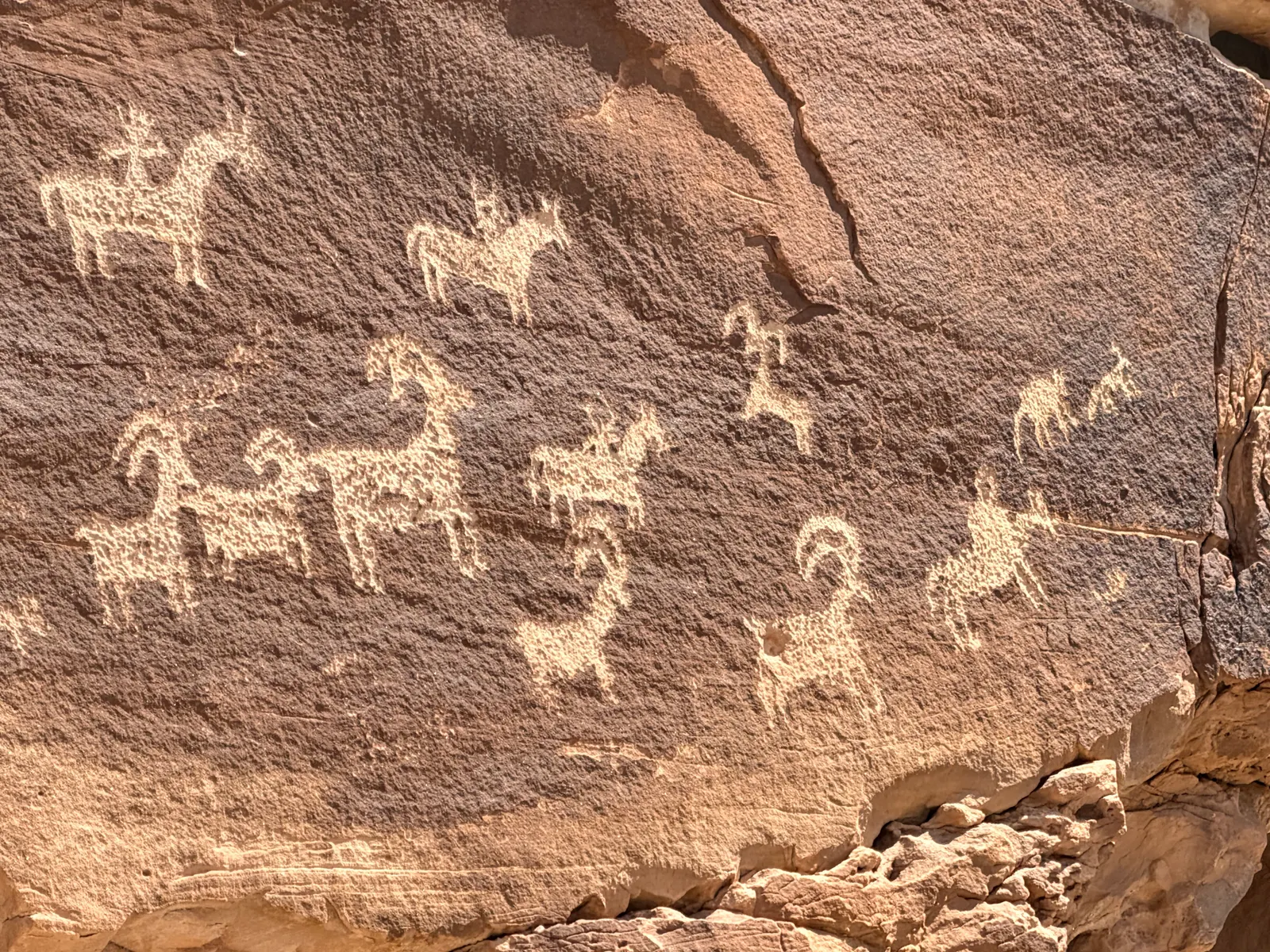 Ute petroglyph panel near the Delicate Arch trailhead — riders on horseback and bighorn sheep pecked into dark desert varnish